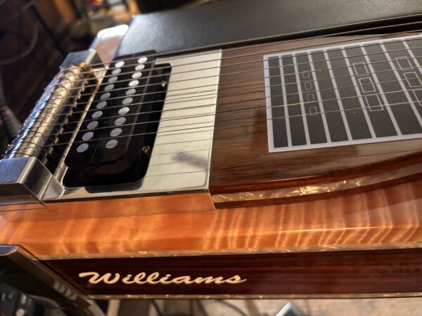 10 String Humbucker - Image 3